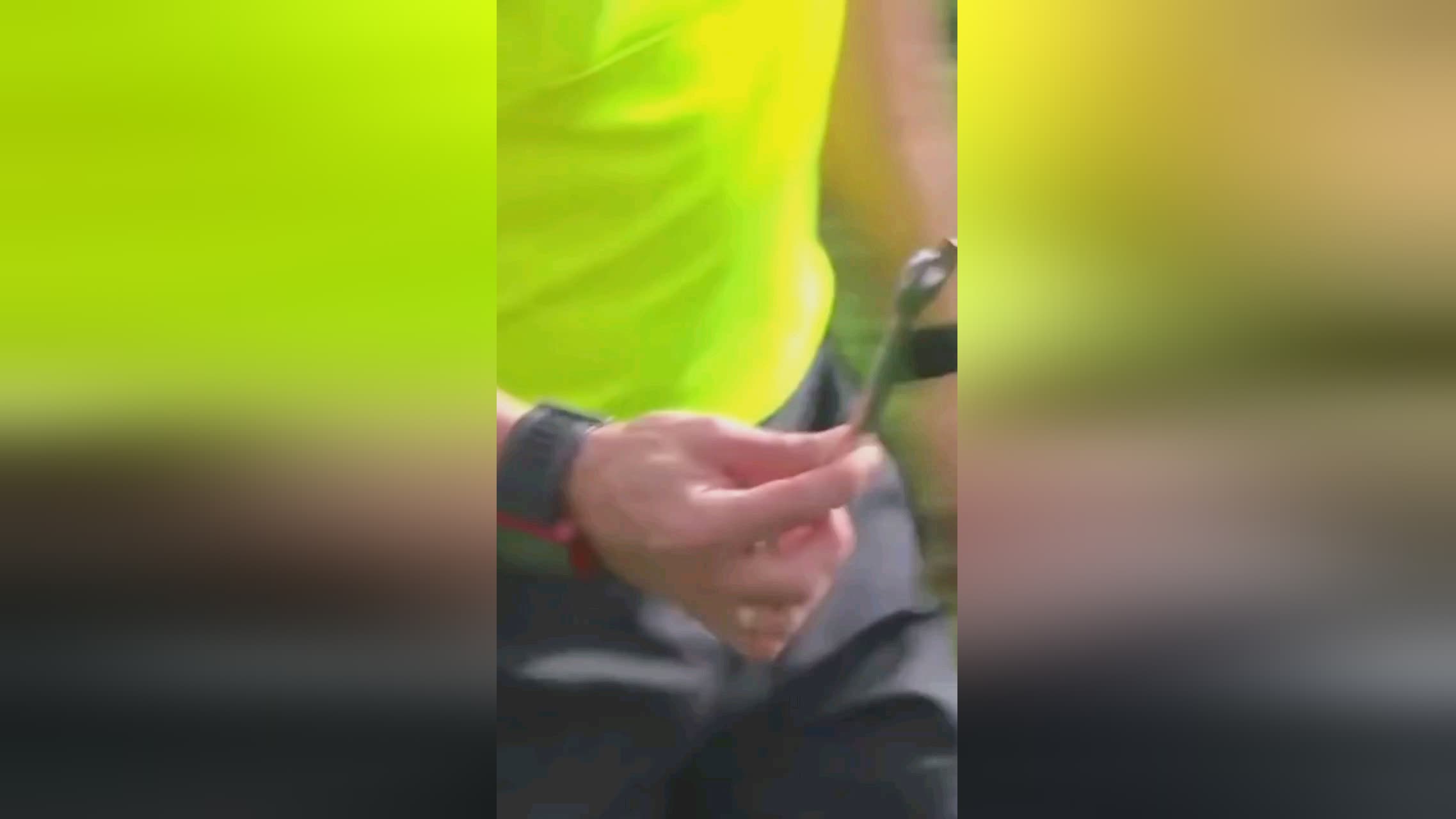 的活